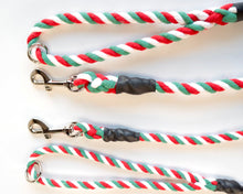 Load image into Gallery viewer, The Welsh Dog Lead