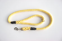 Load image into Gallery viewer, Yellow Dog Lead