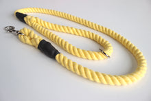 Load image into Gallery viewer, Yellow Dog Lead