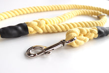 Load image into Gallery viewer, Yellow Dog Lead