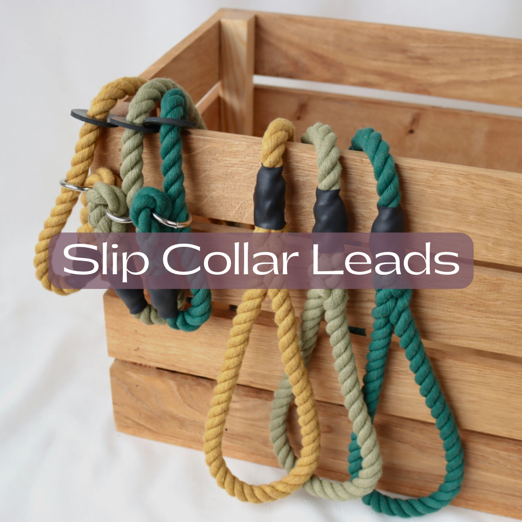 Signature Slip Leads
