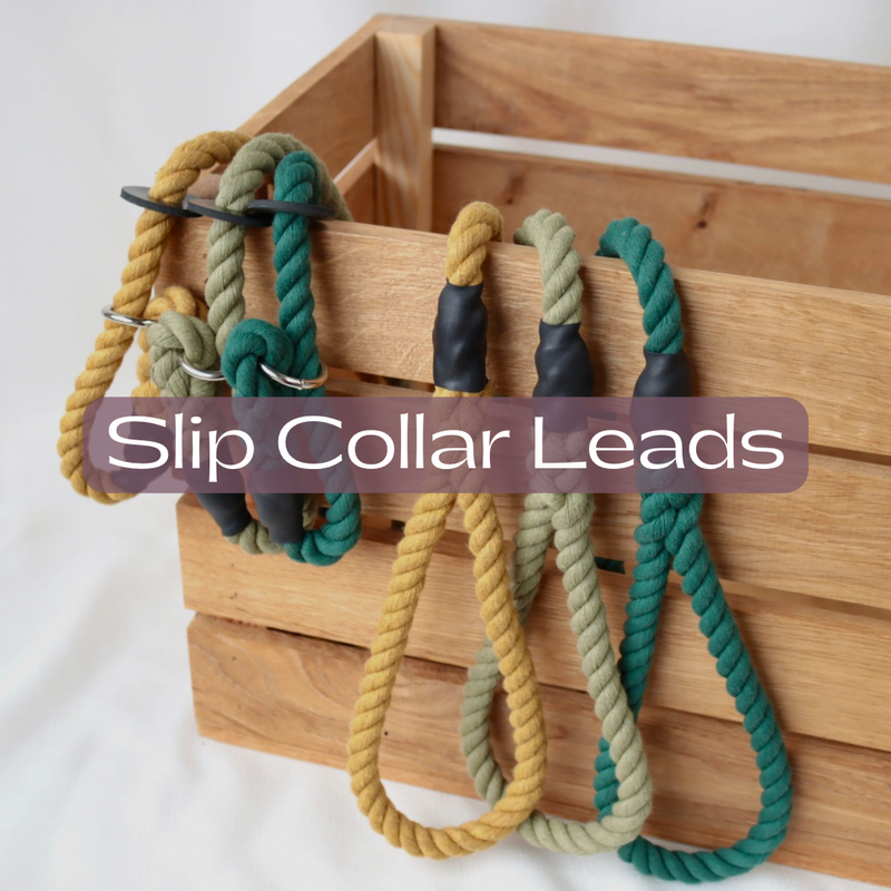 Signature Slip Leads