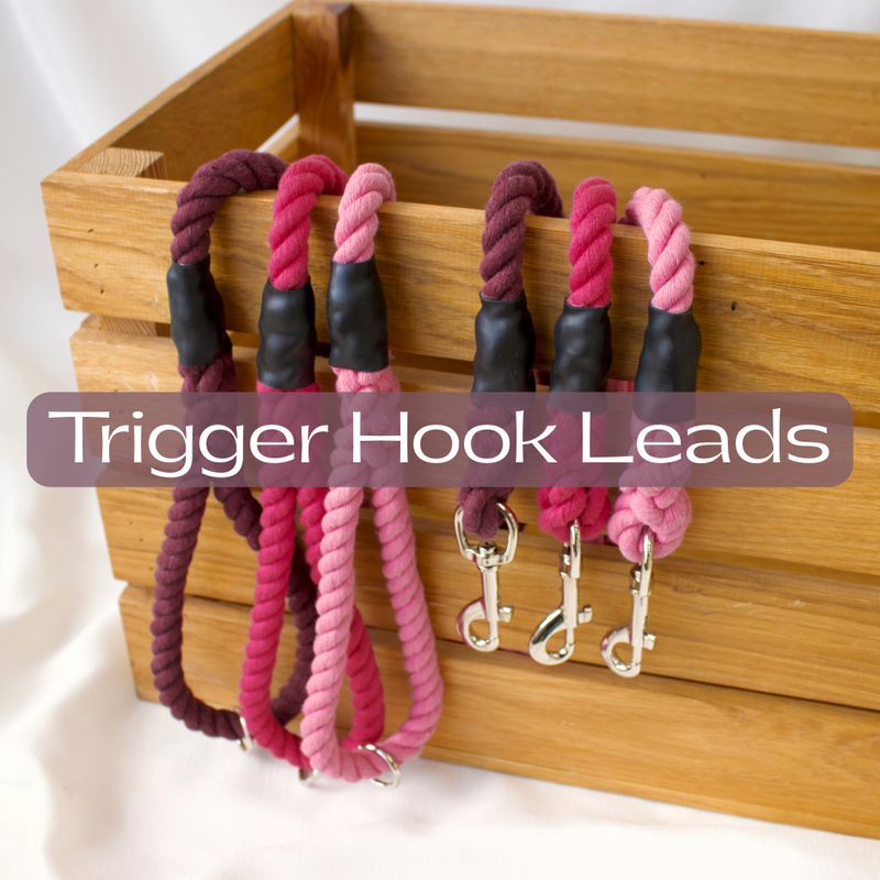 Trigger Hook Dog Leads