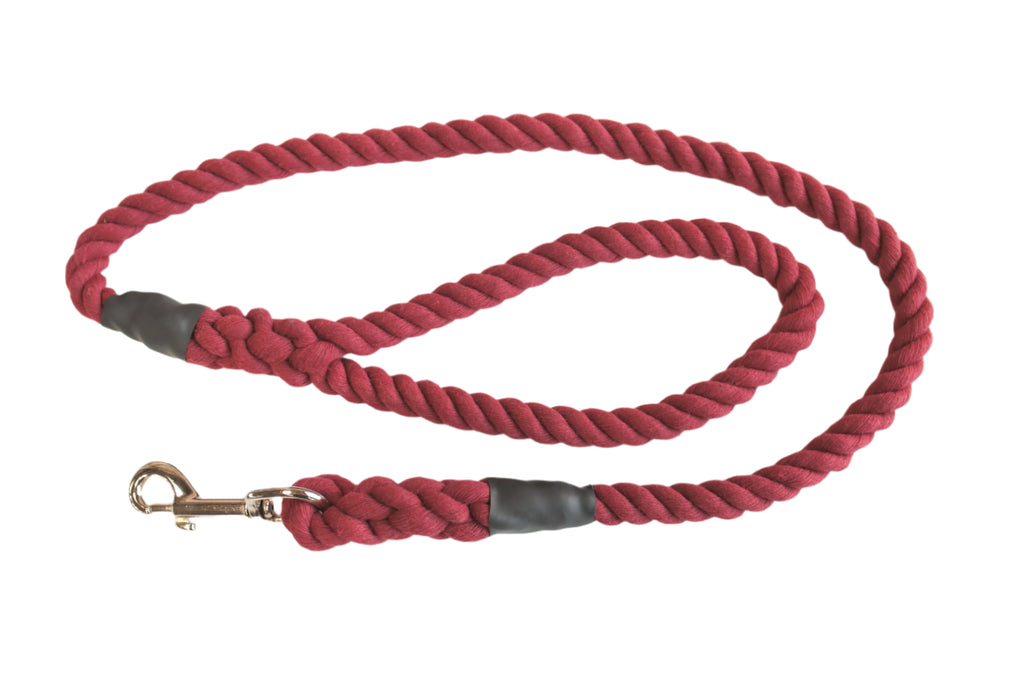Mulberry Dog Lead