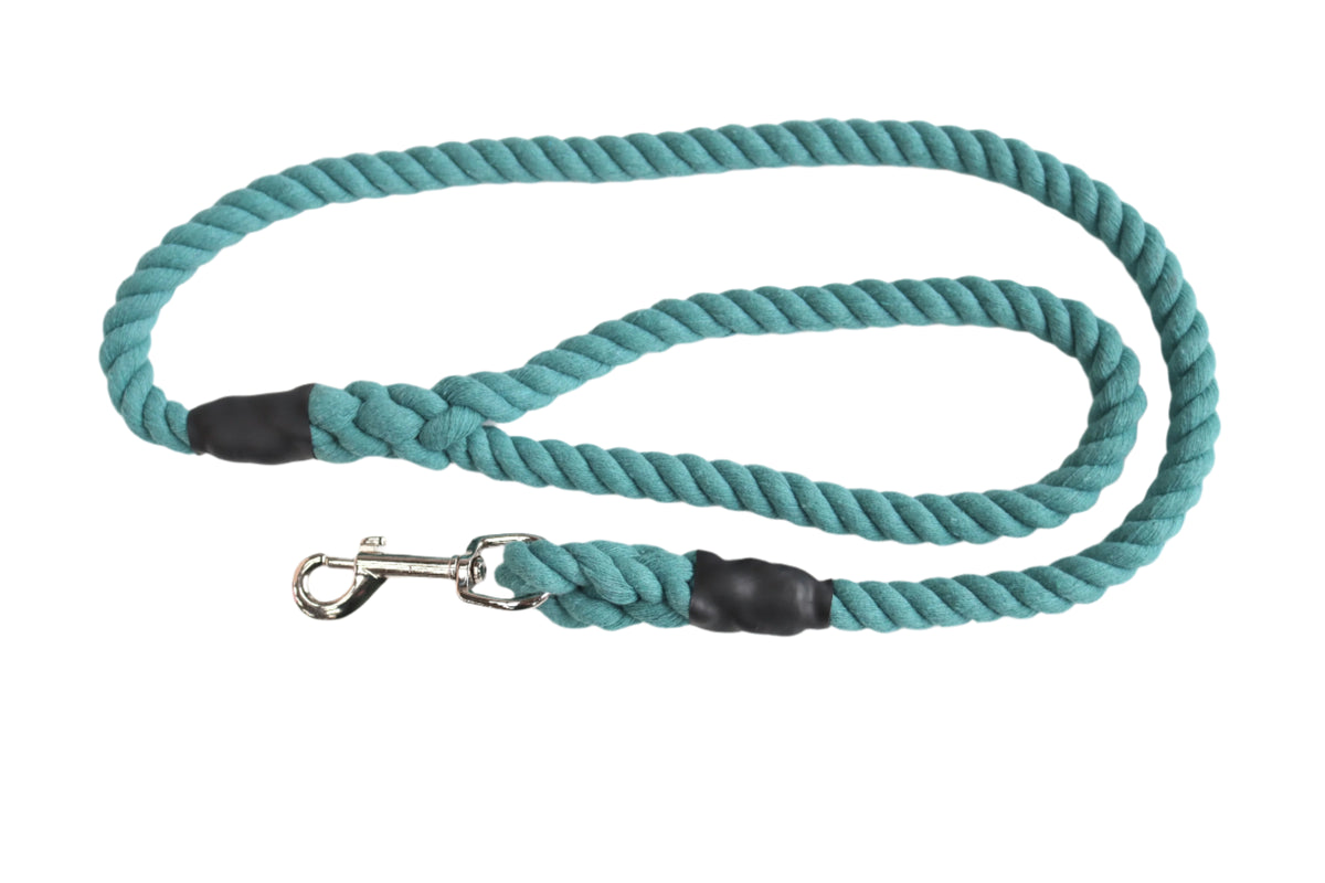 Eton Blue Dog Lead