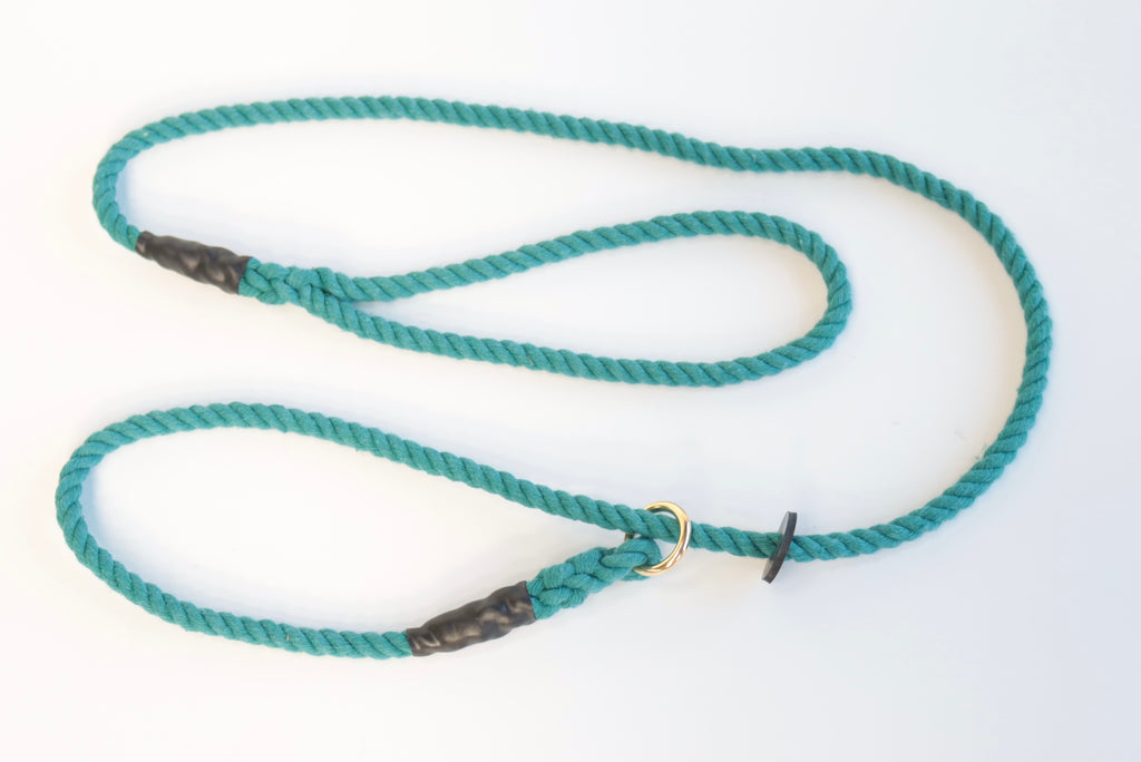 Eton Blue Dog Lead