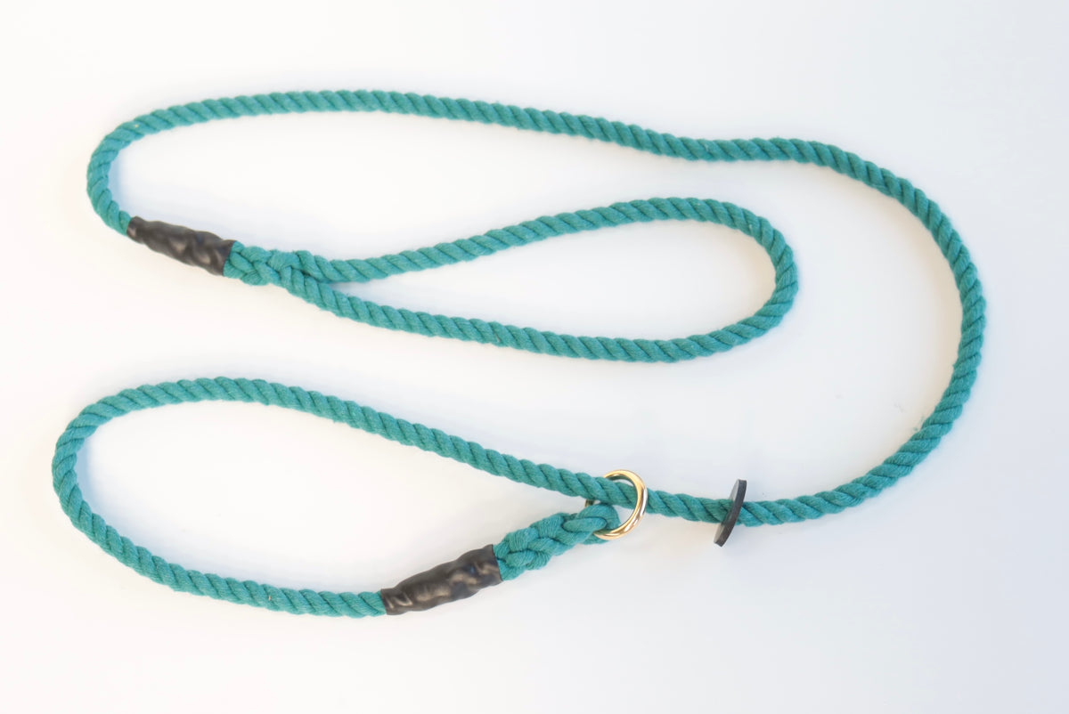 Eton Blue Dog Lead