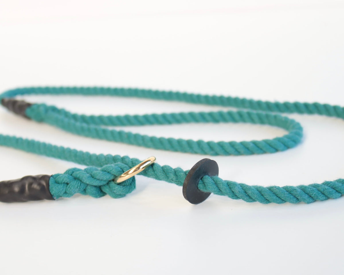 Eton Blue Dog Lead