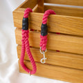 Cerise Dog Lead