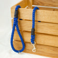 Royal Blue Dog Lead