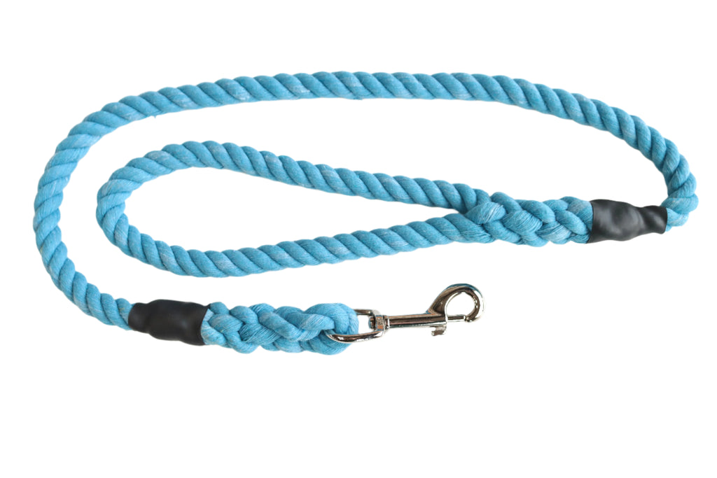 Sky Blue Dog Lead