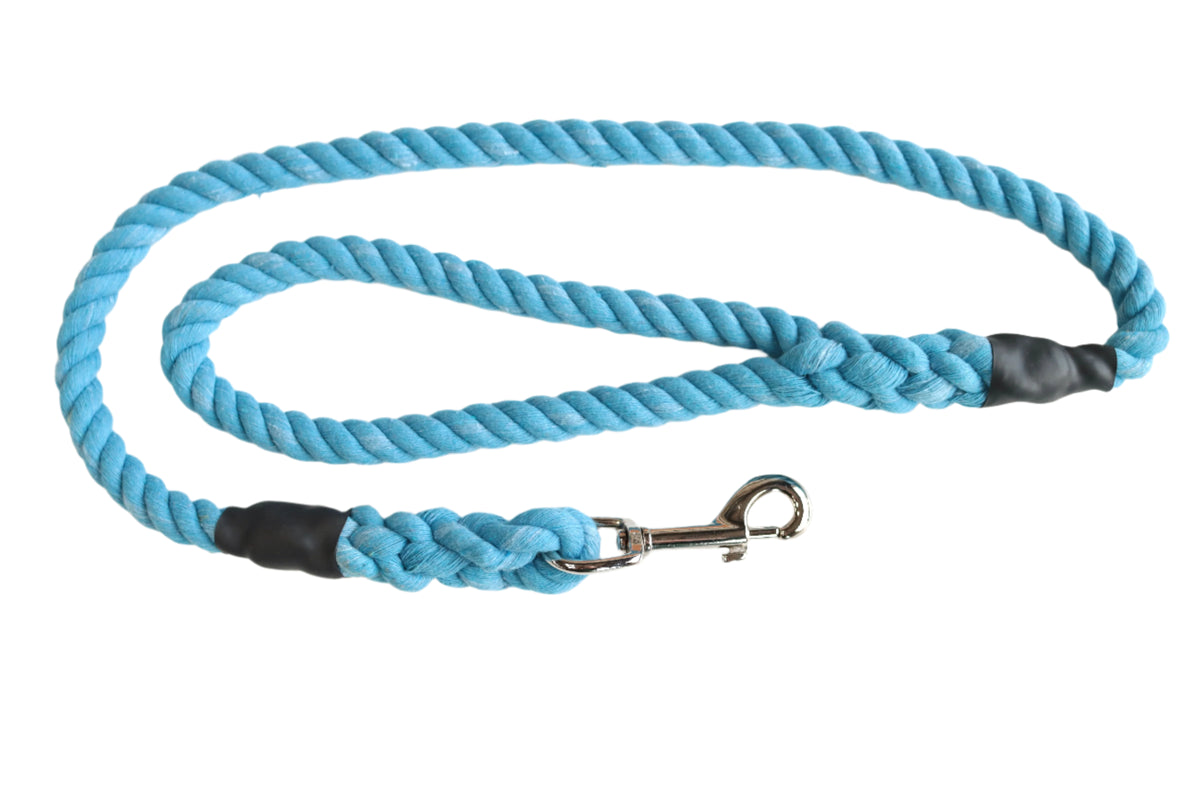 Sky Blue Dog Lead