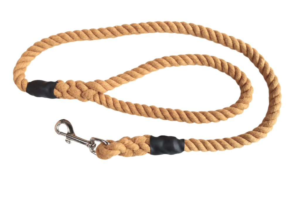 York Gold Dog Lead