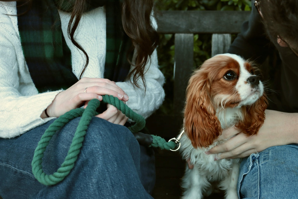 Dog Walkers' Luxury Gift Set
