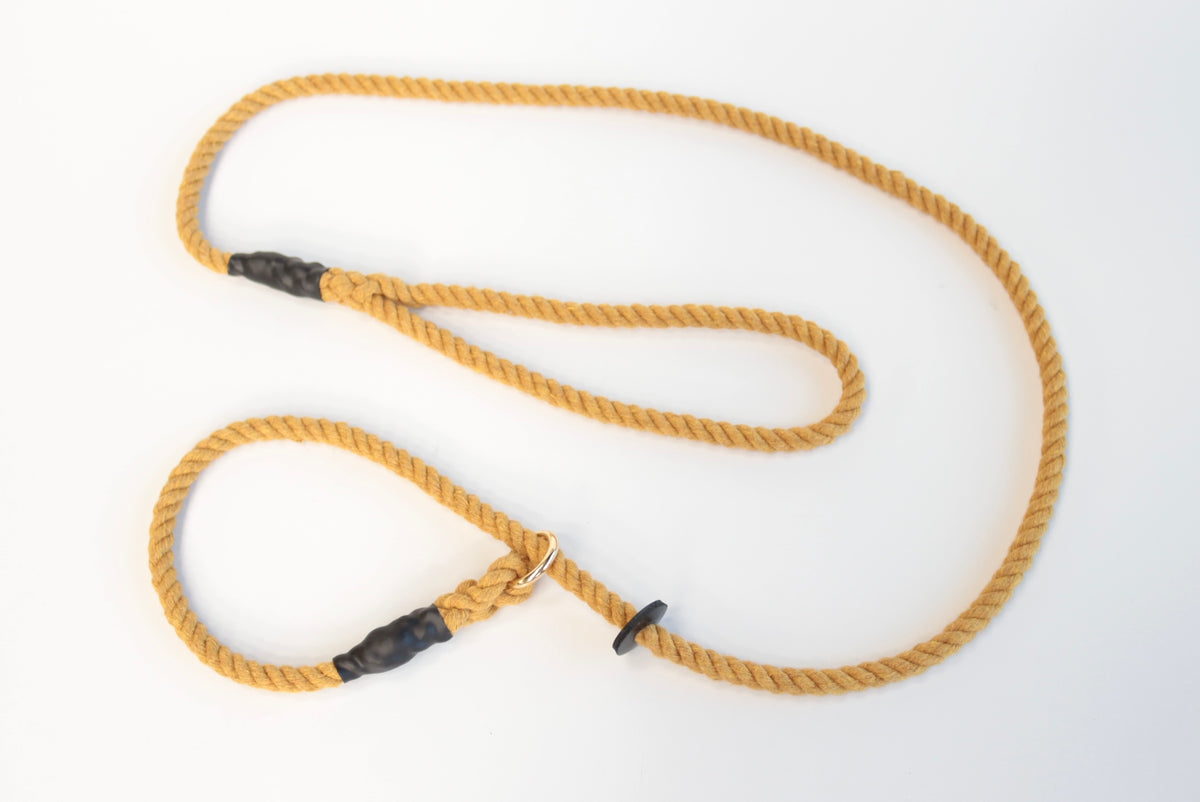 York Gold Dog Lead