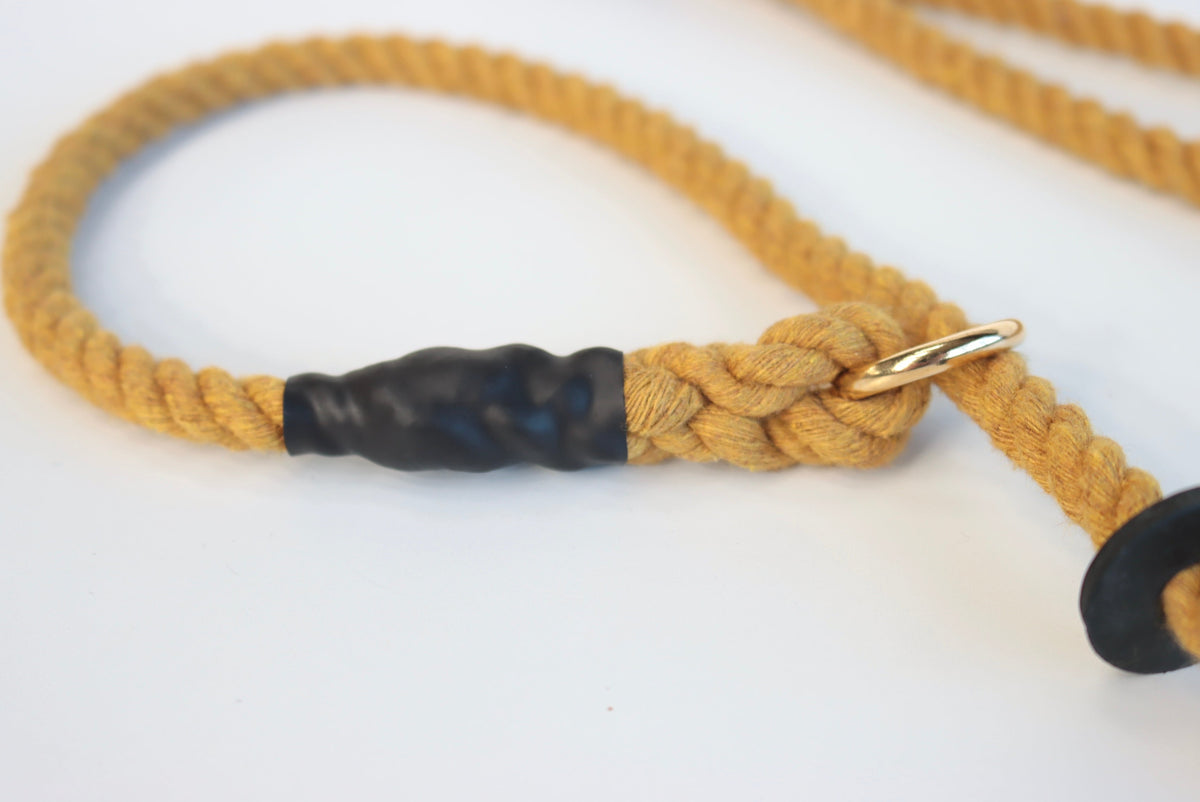 York Gold Dog Lead