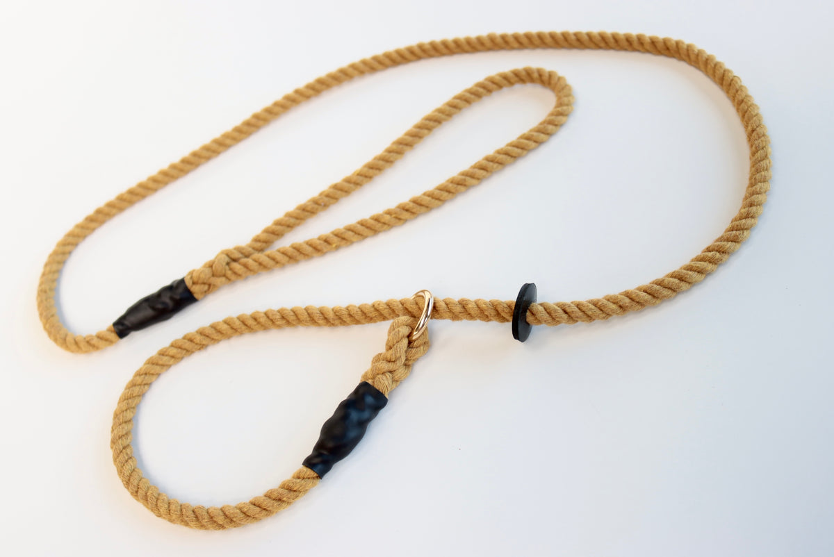 York Gold Dog Lead