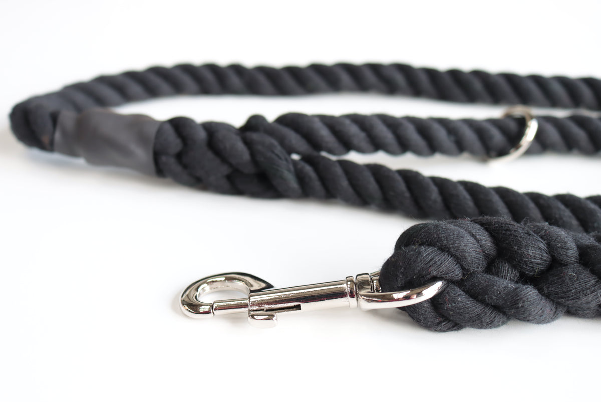 Black Dog Lead