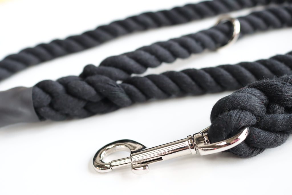 Black Dog Lead