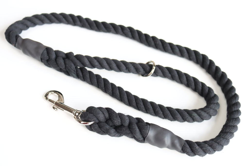 Black Dog Lead