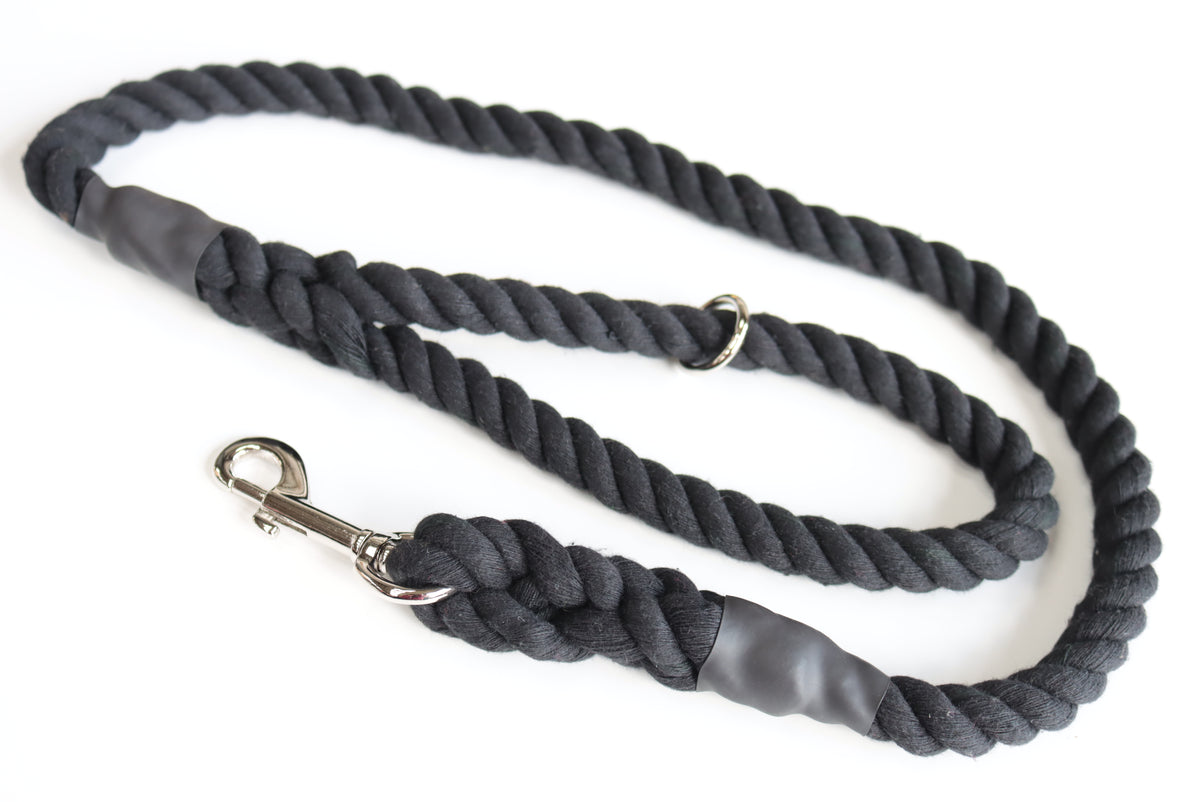 Black Dog Lead