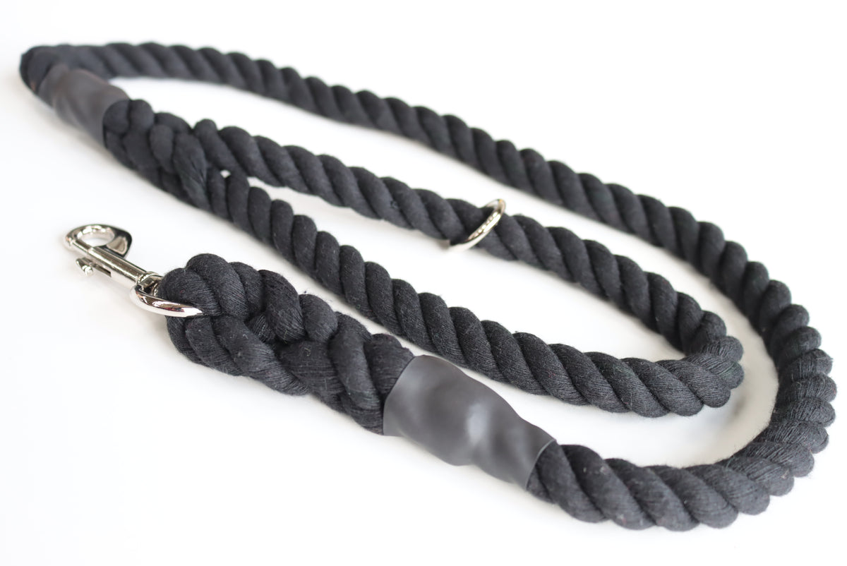 Black Dog Lead