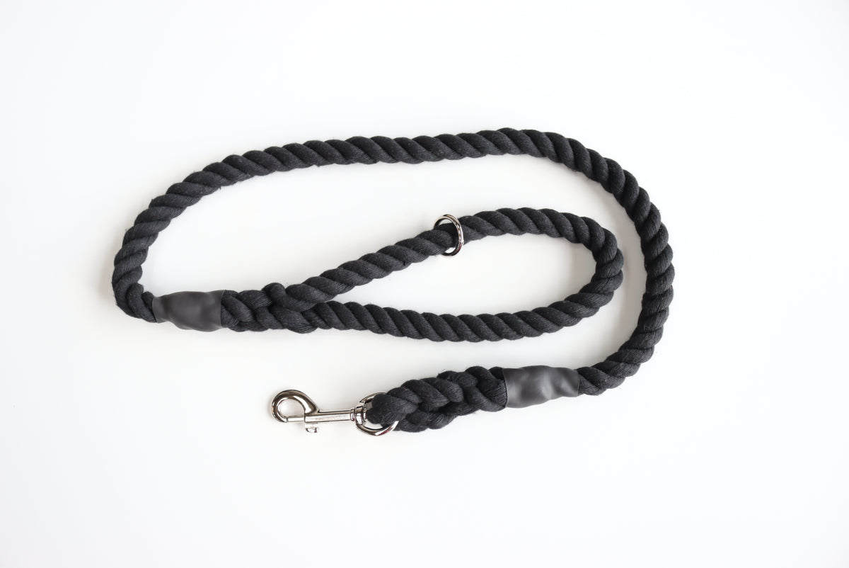 Black Dog Lead