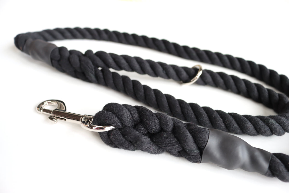 Black Dog Lead