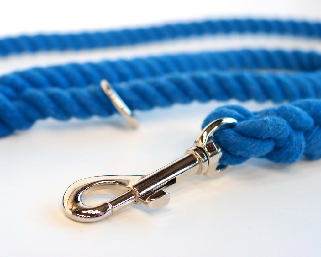 Royal Blue Dog Lead