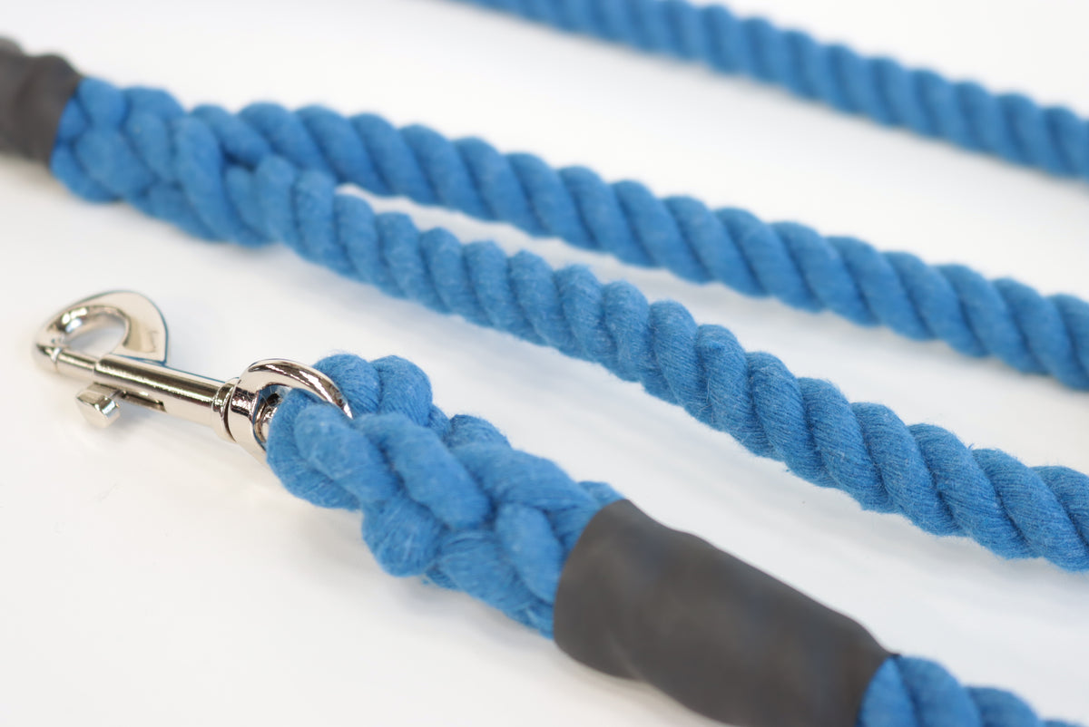 Royal Blue Dog Lead