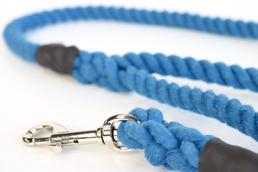 Royal Blue Dog Lead