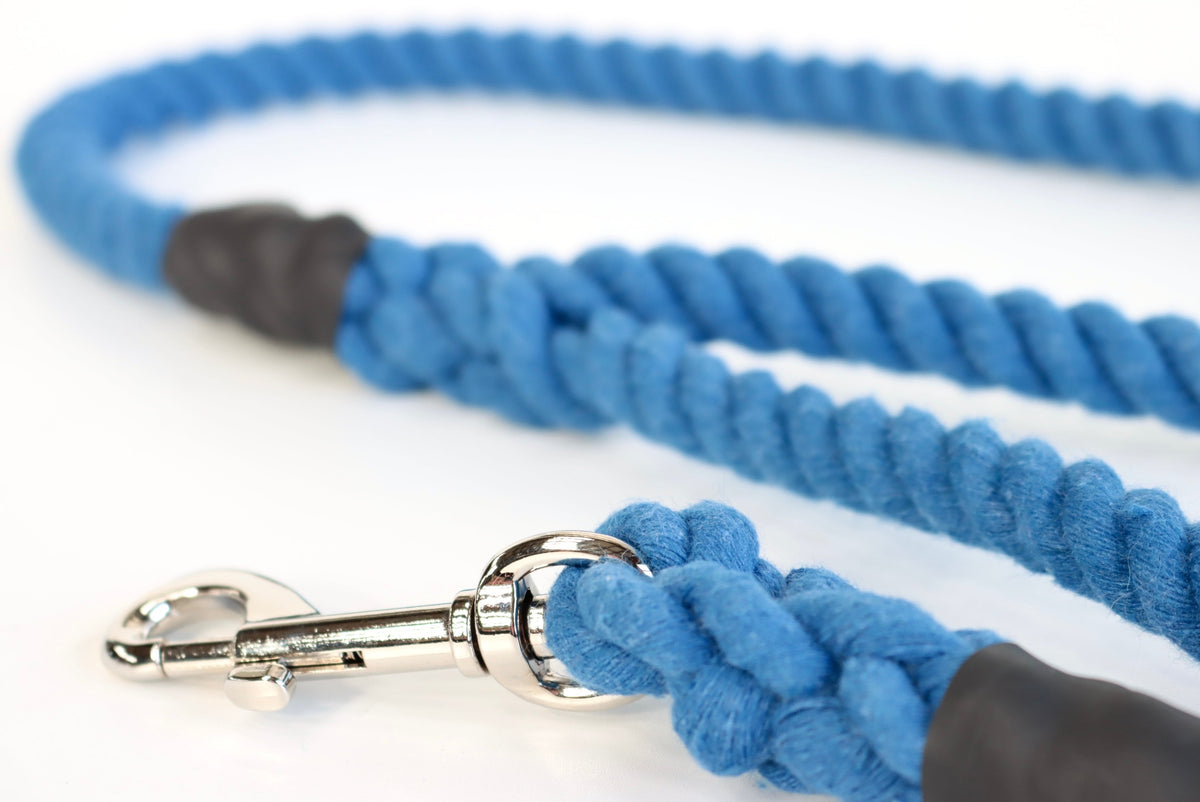 Royal Blue Dog Lead