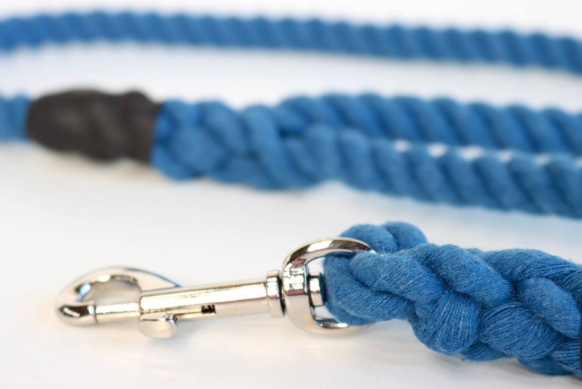 Royal Blue Dog Lead