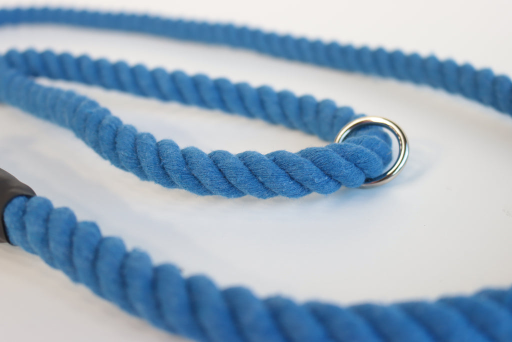 Royal Blue Dog Lead