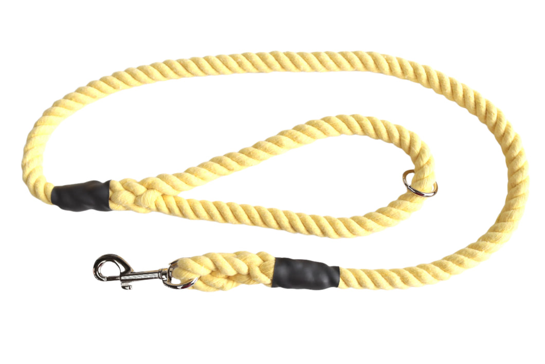 Yellow Dog Lead