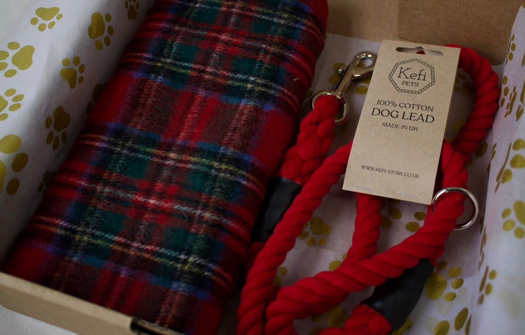 Dog Walkers' Luxury Gift Set