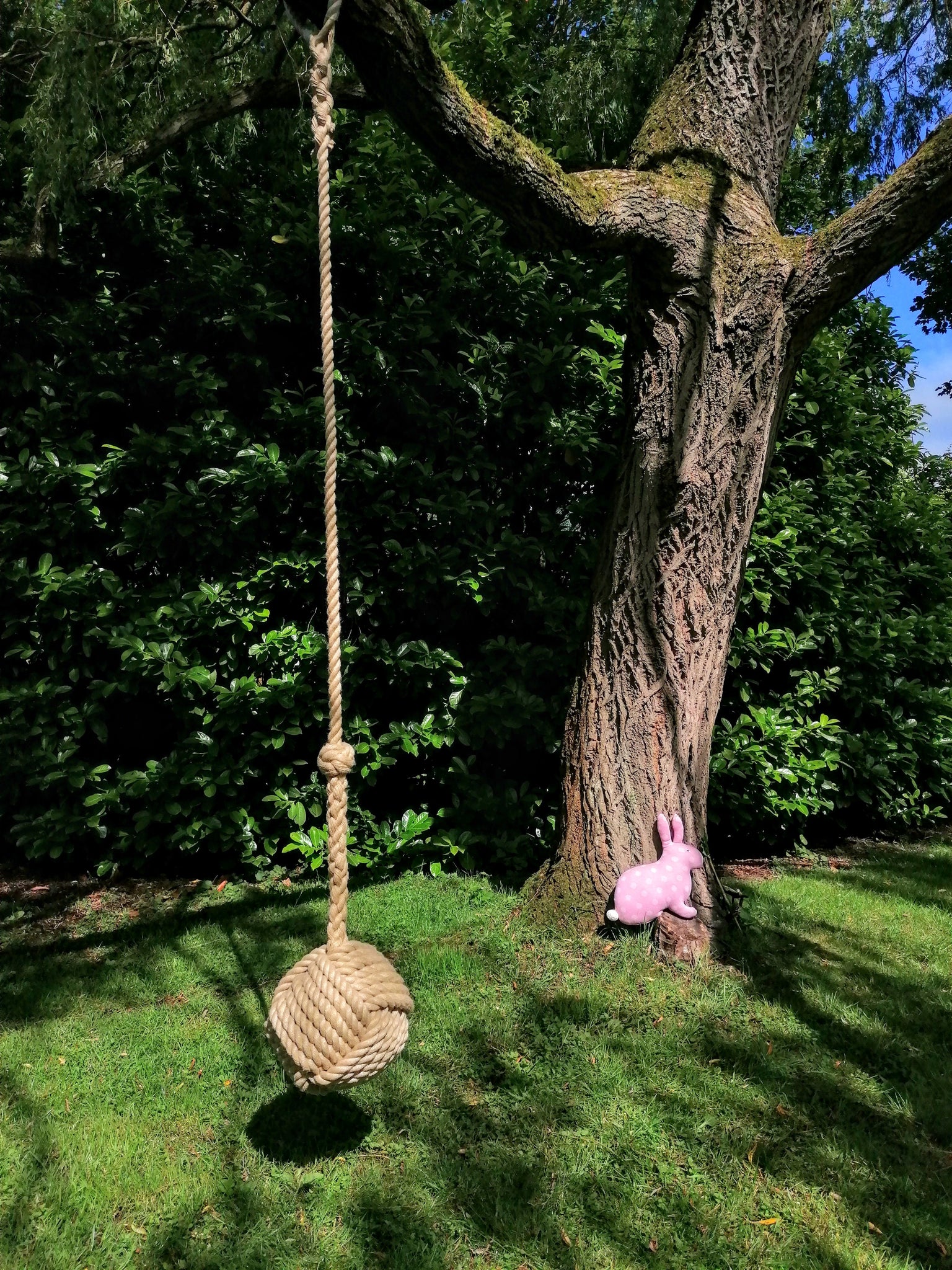 Rope Tree Swing, Royal inspired
